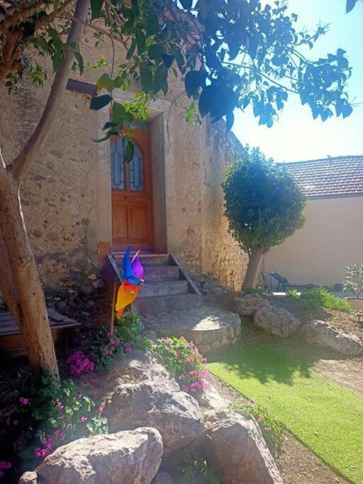 Le Clos Du Pin Thezan-les-Beziers 외부 사진